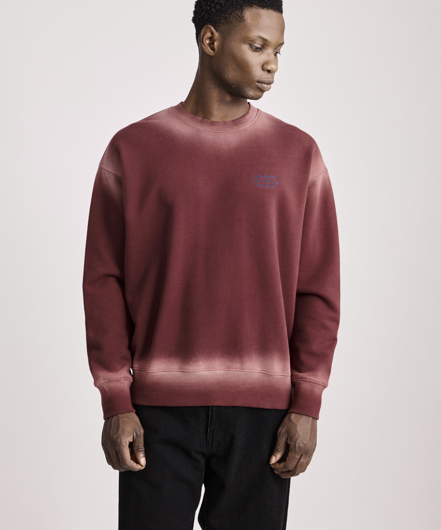 Ari Relaxed Faded Dye Sweatshirt